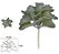 Planta Artificial Suculenta Verde Frosted 10,5cm - Imagem 1