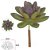 Planta Artificial Suculenta Purpura Verde 7cm - Imagem 1