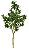 Planta Árvore Artificial Clusia Real Toque X282 Verde 1,2m - Imagem 1
