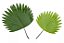 Planta Árvore Artificial Palmeira Leque Real Toque X18 Verde 1,70m - Imagem 2