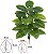 Árvore Artificial Calathea Real Toque Verde X24 80cm - Imagem 1
