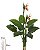 Planta Árvore Artificial Heliconia C/Flor Toque  X15  Laranja 1,10cm - Imagem 2