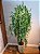 Planta Artificial Salgueiro Chorão Real Toque X1963 Verde 1,8m - Imagem 2
