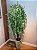 Planta Artificial Salgueiro Chorão Real Toque X1963 Verde 1,8m - Imagem 4