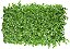 Planta Artificial Folhagem Grama Eucalipto Placa X124 Verde 2T 40X60cm - Imagem 1