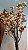 Planta Arvore Artificial Azaleia Pu C/Pote X544 Laranja 1,4m - Imagem 5