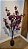 Planta Arvore Artificial Azaleia Pu C/Pote X544 Fucsia 1,4m - Imagem 3