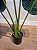 Planta Artificial Bananeira De Jardim Pu C/Pote X6 Verde 90cm - Imagem 5