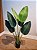 Planta Artificial Bananeira De Jardim Pu C/Pote X6 Verde 90cm - Imagem 3