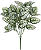Folhagem Coleus Forracao Real Toque X45 Verde Branco 47cm - Imagem 1