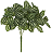 Folhagem Melancia Forracao X81 Verde Creme 28cm - Imagem 1