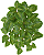 Folhagem Coleus Real Toque Pendurar UV X75 Verde 43cm - Imagem 1
