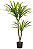 Planta Árvore Artificial Dracena Real Toque Pu C/Pote X51 Verde 1,05m - Imagem 1