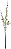 Haste Flor Cerejeira C/Coat X28 Creme 1,07cm - Imagem 1