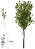 Folhagem Grass C/Print Plastico X24 Verde Escuro 52cm - Imagem 1