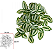 Folhagem Artificial Lambari Pendurar Real Toque X69 Verde 25cm - Imagem 1