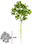 Planta Artificial Buxus C/Print X24 Verde 57cm - Imagem 1