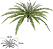 Planta Artificial Folhagem Samambaia X31 Verde 2T 69cm - Imagem 1