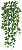 Planta Artificial Folhagem Hera Pendurar X192 Verde 86cm - Imagem 1