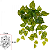 Planta Artificial Folhagem Jiboia Pendurar Real Toque X60 Verde Creme 40m - Imagem 1