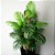 Planta Artificial Palmeira Várias Folhas 120cm / 90cm - Imagem 1