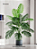 Planta Artificial Palmeira Várias Folhagens de 70cm a 120cm - Imagem 15