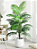 Planta Artificial Palmeira Várias Folhagens de 70cm a 120cm - Imagem 11