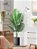 Planta Artificial Palmeira Várias Folhagens de 70cm a 120cm - Imagem 5