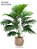 Planta Artificial Palmeira Várias Folhagens de 70cm a 120cm - Imagem 6