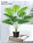 Planta Artificial Palmeira Várias Folhagens de 70cm a 120cm - Imagem 9
