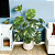 Planta Artificial Costela de Adão 60cm / 100cm - Imagem 1