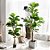 Planta Árvore Artificial Ficus Lyrata Ramo Simples de 40cm a 75cm - Imagem 1
