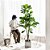 Planta Árvore Artificial Ficus Lyrata Ramo Simples de 40cm a 75cm - Imagem 5