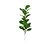 Planta Árvore Artificial Ficus Lyrata Ramo Simples de 40cm a 75cm - Imagem 2