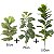 Planta Artificial Ficus Lyrata Tropical de 30cm a 150cm - Imagem 12