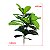 Planta Artificial Ficus Lyrata Tropical de 30cm a 150cm - Imagem 4