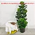 Planta Artificial Ficus Lyrata Tropical de 30cm a 150cm - Imagem 15