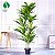 Planta Artificial Dracena 1,70m + Vasos Diversos - Imagem 2