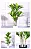 Planta Artificial Dracena 1,70m + Vasos Diversos - Imagem 6