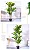Planta Artificial Dracena 1,70m + Vasos Diversos - Imagem 5