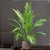 Planta Artificial Palmeira de 50cm a 70cm - Imagem 4