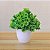 Planta artificial, Bonsai, Árvore de Grama, Enfeite de Flores Com Vaso - Imagem 20