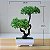 Planta artificial, Bonsai, Árvore de Grama, Enfeite de Flores Com Vaso - Imagem 5