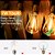Guirlanda ao ar Livre String Lights, Inquebrável, Impermeável, LED, Decoração - Imagem 15