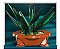 Buquê de Vasos de Plantas para Crianças, Blocos de Construção, Toys - Imagem 8