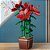 Buquê de Vasos de Plantas para Crianças, Blocos de Construção, Toys - Imagem 18