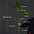 Planta Artificial Árvore Ficus 105cm Duas Folhas - Imagem 12
