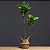Planta Artificial Árvore Ficus 105cm Duas Folhas - Imagem 1