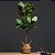 Planta Artificial Árvore Ficus 105cm Duas Folhas - Imagem 9