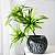 Planta Artificial Dracena 36cm 3 Troncos - Imagem 15
